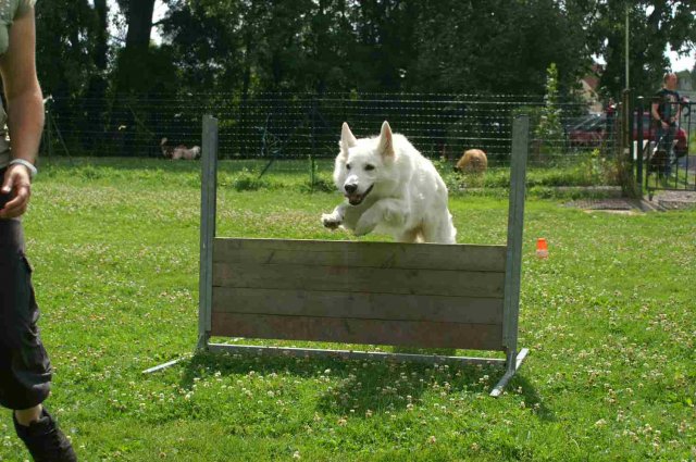 obeissance 2014-08-02